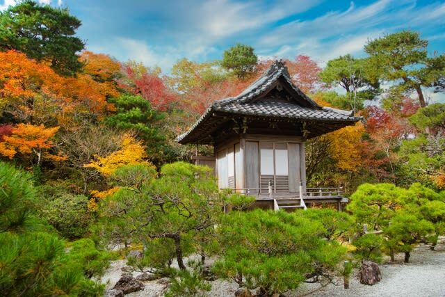 Kyoto Arashiyama Half-Day Private Tour - Togetsukyo Bridge and the Oi River