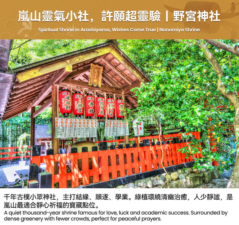 Kyoto Arashiyama & Hozugawa River Full-Day Tour with Rafting - Is $112.79 a fair price?