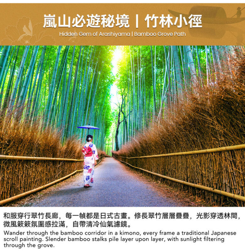 Kyoto Arashiyama & Hozugawa River Full-Day Tour with Rafting - Who is likely to enjoy this outing?