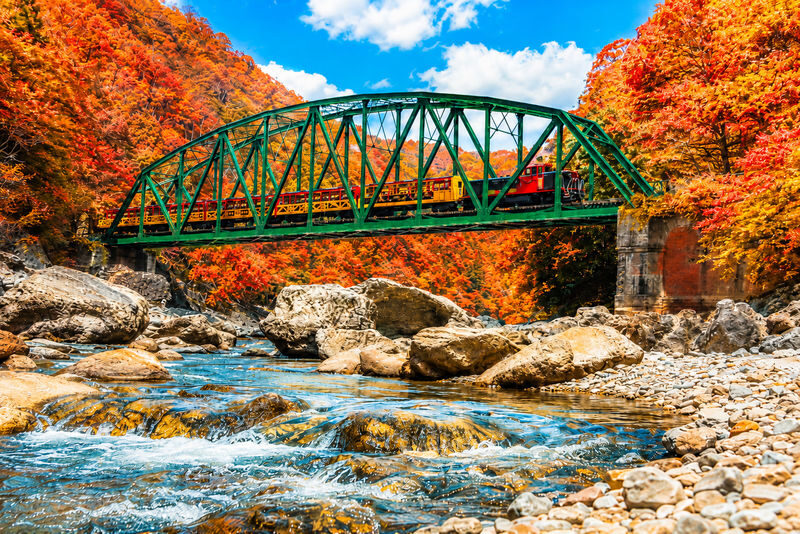 Kyoto Arashiyama In-depth One-Day Tour: Kyoto Romantic Train x Hozugawa River Gorge Rafting-Includes Local Japanese Lunch (Departing from Osaka/Kyoto) - Japanese lunch and time to explore Arashiyama