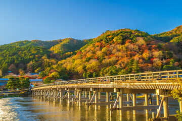 Kyoto Arashiyama, Kiyomizu-dera Temple, Fushimi Inari-taisha Shrine One-Day Tour (with Kiyomizu-dera Temple ticket) - A full itinerary needs a little flexibility