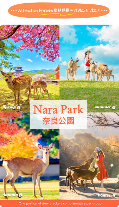 Kyoto, Arashiyama, Nara: Optional Sagano Scenic Railway, Monkey Park, Nara Deer, Fushimi Inari Shrine One-Day Tour (Departing from Osaka) - Monkey Park, foot bath, or Kimono Forest?