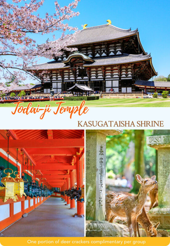 Kyoto, Arashiyama, Nara: Optional Sagano Scenic Railway, Monkey Park, Nara Deer, Fushimi Inari Shrine One-Day Tour (Departing from Osaka) - What the price includes, and what it does not