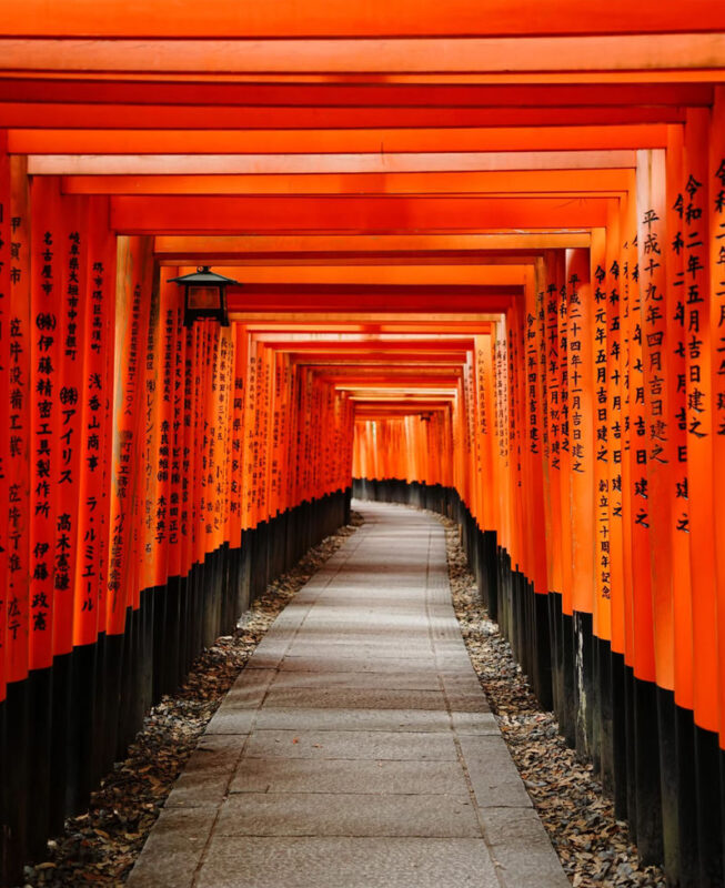 Kyoto Arashiyama & Nara Park Full-Day Tour - What this one-day Kyoto outing can and cannot promise