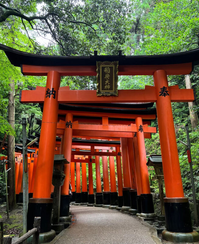 Kyoto Arashiyama & Nara Park Full-Day Tour - Who should choose this tour?