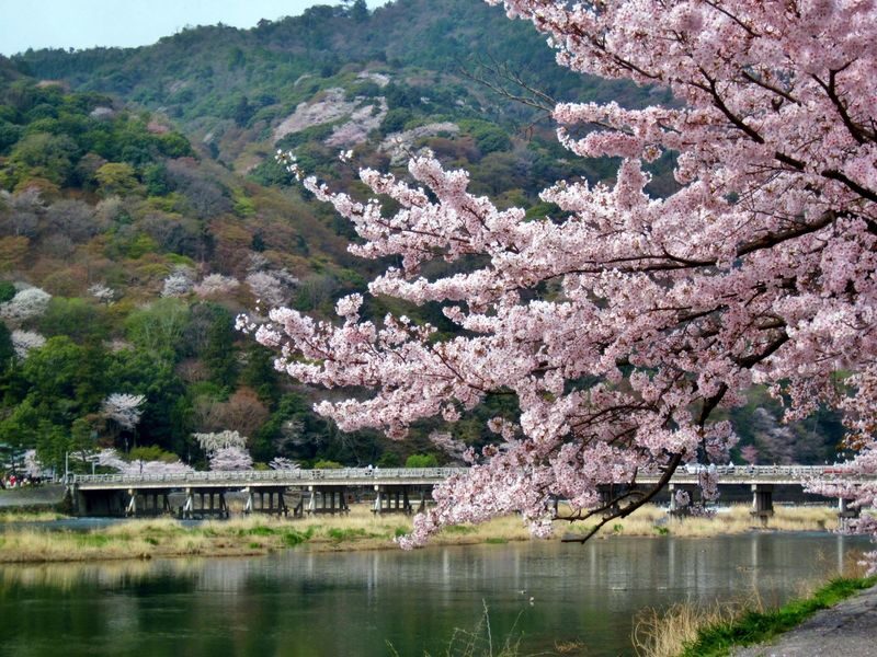 Kyoto: Arashiyama Premium Chopstick Making With Engraving Option - Booking details to keep in mind