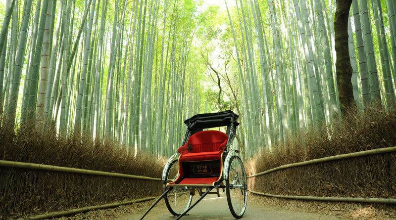 Kyoto Arashiyama Rickshaw Tour - What the guide adds to the ride