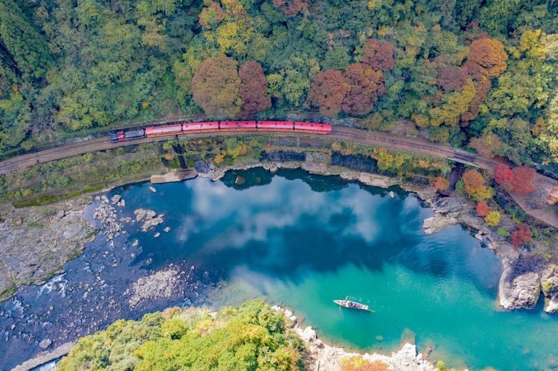 Kyoto Arashiyama: Sagano Scenic Railway (Optional) & Sanzen-in Temple Day Trip | Depart from Osaka/Kyoto - What the guide and transport add
