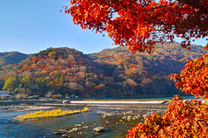 Kyoto Arashiyama, Sanzen-in, and Kifune Shrine Day Tour (Driver-Guide Service) - Sanzen-in: moss, old trees, and a slower first stop