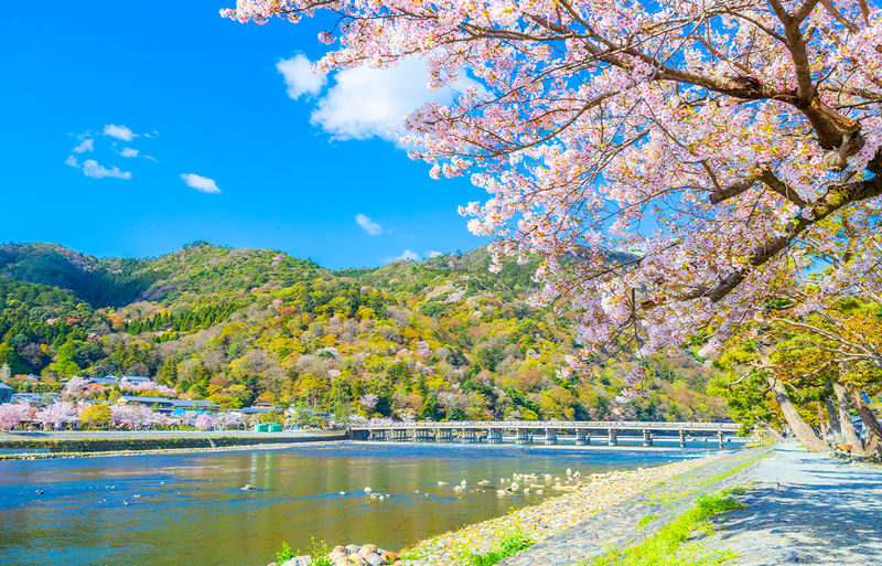 Kyoto Arashiyama, Sanzen-in, and Kifune Shrine Day Tour (Driver-Guide Service) - What the driver-guide service really means