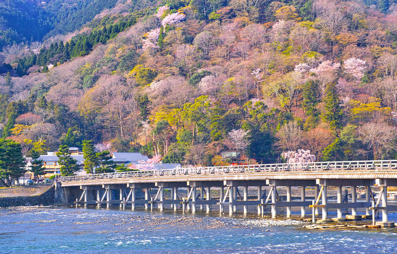 Kyoto Arashiyama, Sanzen-in, and Kifune Shrine Day Tour (Driver-Guide Service) - Is $50.55 a good value?
