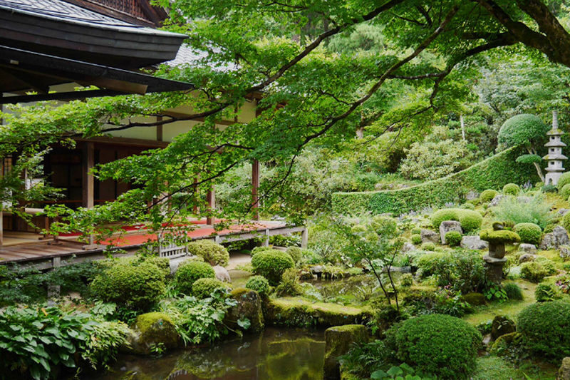 Kyoto Arashiyama, Sanzen-in, and Kifune Shrine Day Tour (Driver-Guide Service) - Practical details that can save your day