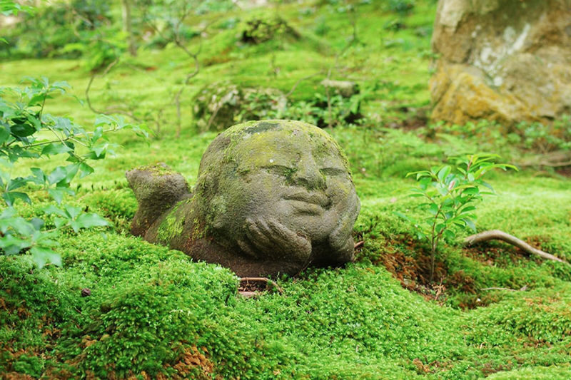 Kyoto Arashiyama, Sanzen-in, and Kifune Shrine Day Tour (Driver-Guide Service) - Who should book this Kyoto day trip?