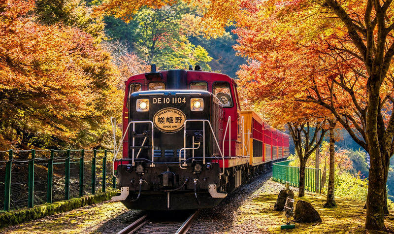 Kyoto Arashiyama & Sanzen-in Small Group Day Tour (Driver-Guide Service) - The best parts of this Kyoto day