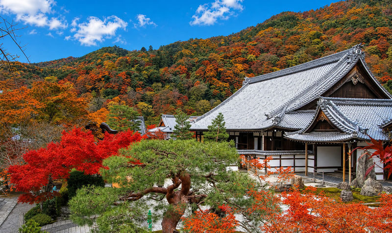Kyoto Arashiyama & Sanzen-in Small Group Day Tour (Driver-Guide Service) - Kifune Shrine: a wooded change of scene