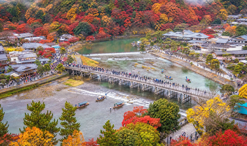 Kyoto Arashiyama & Sanzen-in Small Group Day Tour (Driver-Guide Service) - The Sagano Romantic Train: a scenic extra, not a sure thing