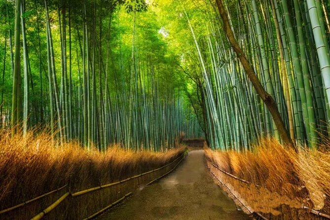 Kyoto Arashiyama Sanzen In Temple Day Tour - Booking Information