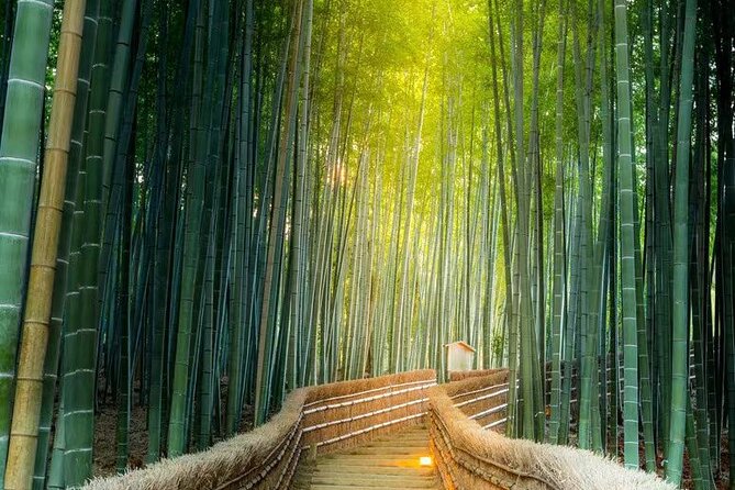 Kyoto Arashiyama Sanzen In Temple Day Tour - Additional Considerations