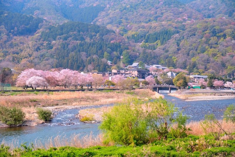Kyoto Arashiyama Scenic Beauty and Cultural Exploration with Nara Cute Deer Fun Experience Day Tour - Arashiyama: bamboo, bridge and traditional craft