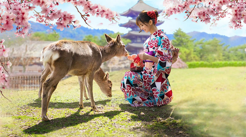 Kyoto Arashiyama Scenic Beauty and Cultural Exploration with Nara Cute Deer Fun Experience Day Tour - Fushimi Inari: walk beneath the red torii