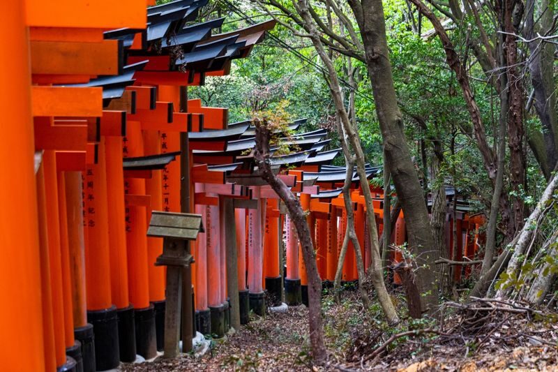 Kyoto Arashiyama Scenic Beauty and Cultural Exploration with Nara Cute Deer Fun Experience Day Tour - Who should book this day trip?