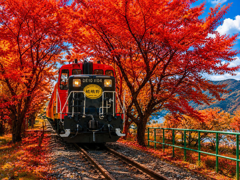 Kyoto Arashiyama Scenic Train & Hozugawa River Boat Ride Day Trip (From Osaka / Kyoto) - Key points to know before you book