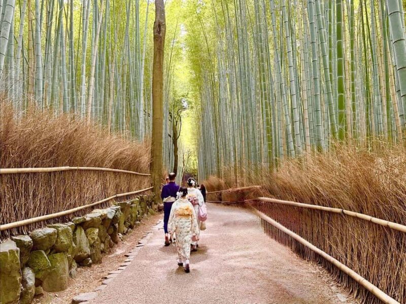 Kyoto: Arashiyama & Takao Bamboo, River & Mountain Hike - Onsen Relaxation in the Countryside