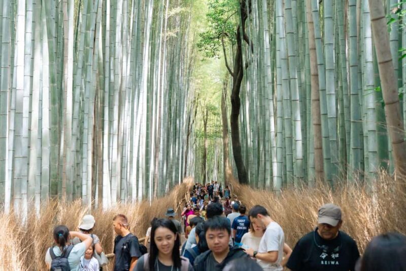 Kyoto Arashiyama tour: Iconic Sights and Hidden Treasures - A Closer Look at the Kyoto Arashiyama Tour