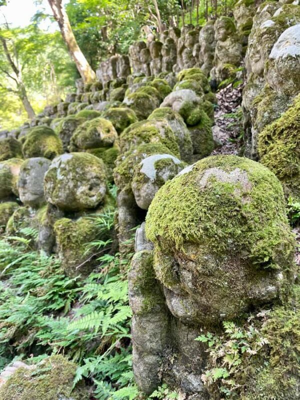 Kyoto: Arashiyama Tour with Maiko River Cruise - Starting Point and Overall Experience