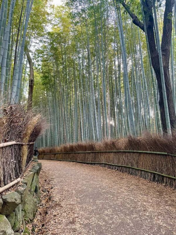 Kyoto: Arashiyama Tour with Maiko River Cruise - The Maiko River Cruise: A Personal and Entertaining Finale