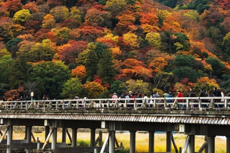 Kyoto: Arashiyama Tour with optional Sagano Romantic Train - Good To Know