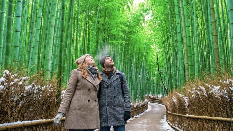 Kyoto: Arashiyama Unveiled Bamboo, Temple, Matcha, & Monkeys - What to Expect from the Arashiyama Tour