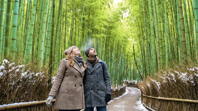 Kyoto: Arashiyama Unveiled - Bamboo, Temple, Matcha, Monkeys - The morning route at a glance