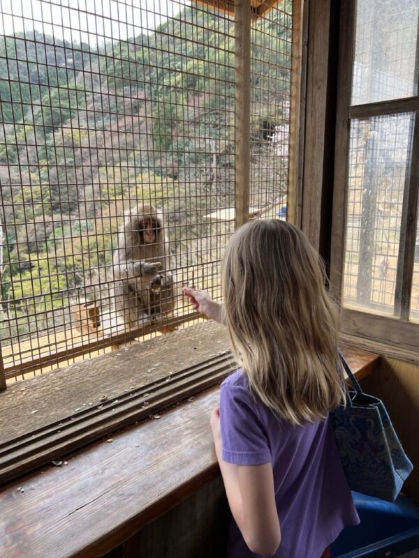 Kyoto: Arashiyama Unveiled - Bamboo, Temple, Matcha, Monkeys - A matcha break included in the walk