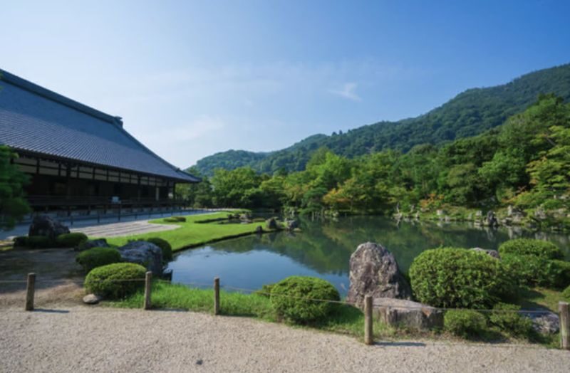 Kyoto: Arashiyama Unveiled - Bamboo, Temple, Matcha, Monkeys - Monkey Park Iwatayama: macaques and a climb