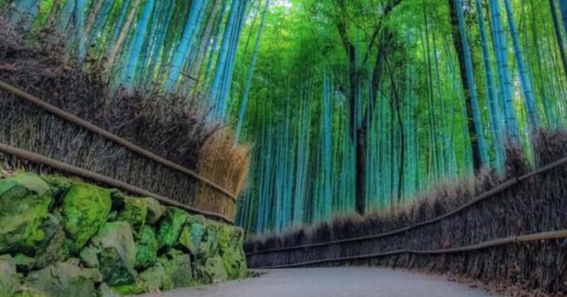 Kyoto: Arashiyama Unveiled Bamboo, Temple, Matcha, & Monkeys - Good To Know