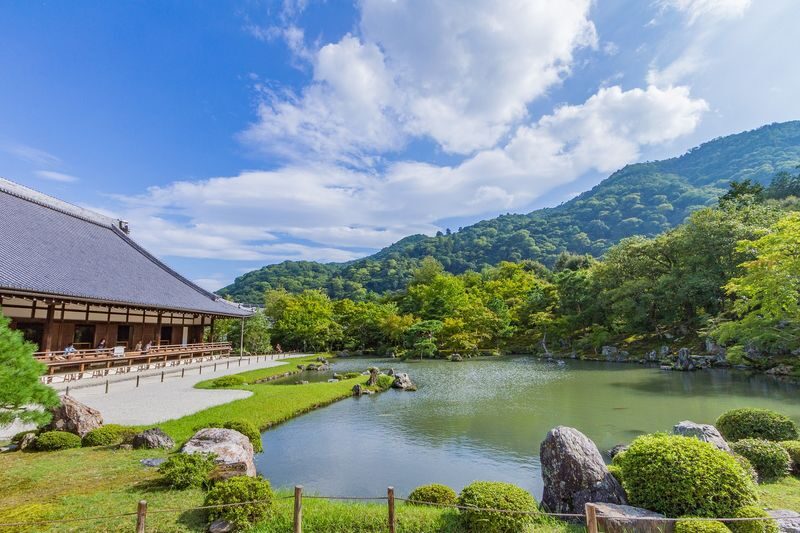 Kyoto Arashiyama Walking Tour: Sagano Bamboo Grove & Tenryu-ji - Jojakko-ji and the hill above Sagano