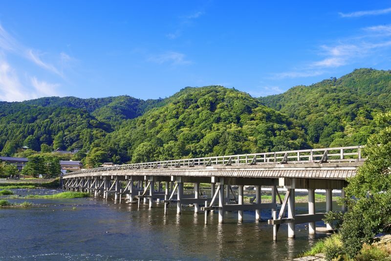 Kyoto Arashiyama Walking Tour: Sagano Bamboo Grove & Tenryu-ji - Tenryu-ji’s garden and its mountain backdrop