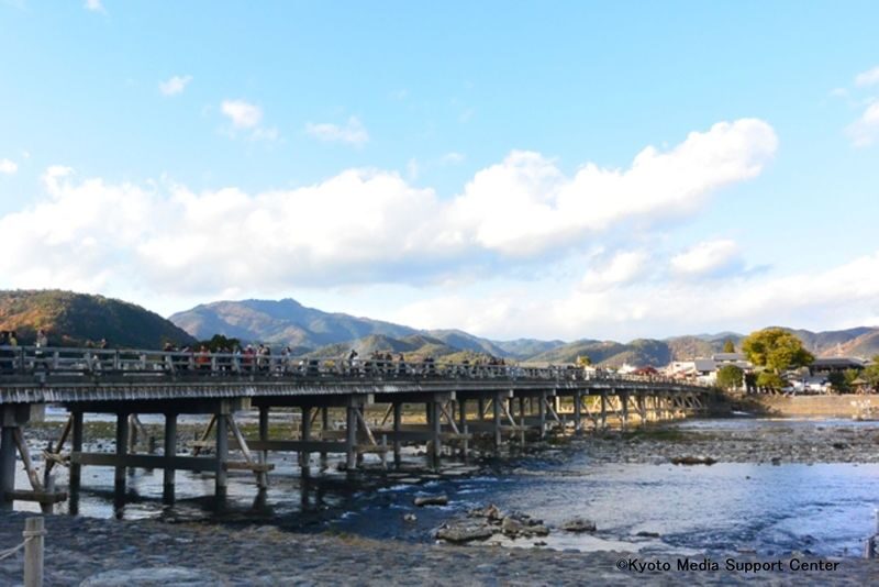 Kyoto Arashiyama Walking Tour: Sagano Bamboo Grove & Tenryu-ji - Who will get the most from this walk