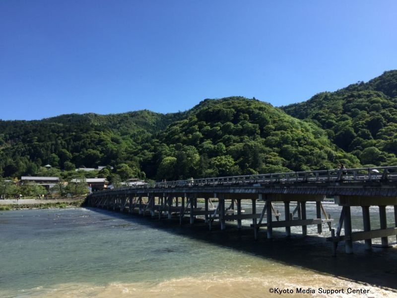 Kyoto Arashiyama Walking Tour: Sagano Bamboo Grove & Tenryu-ji - Should you book the Arashiyama morning tour?