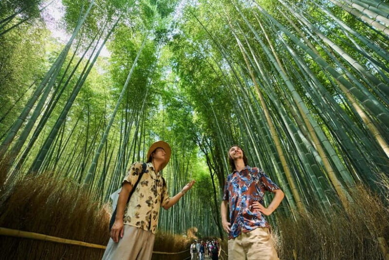 Kyoto: Arashiyama Walking Tour  UNESCO World Heritage - An In-Depth Look at the Tour