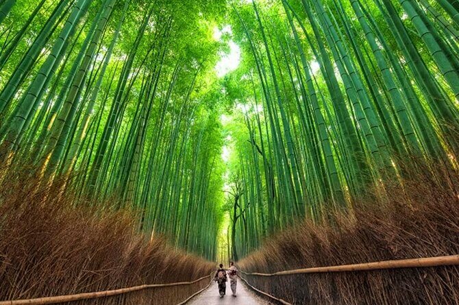 Kyoto: Arashiyama Walking Tour  UNESCO World Heritage - Good To Know