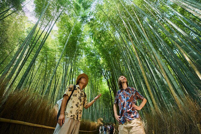 Kyoto: Arashiyama Walking Tour  UNESCO World Heritage - Discovering the Highlights of the Tour