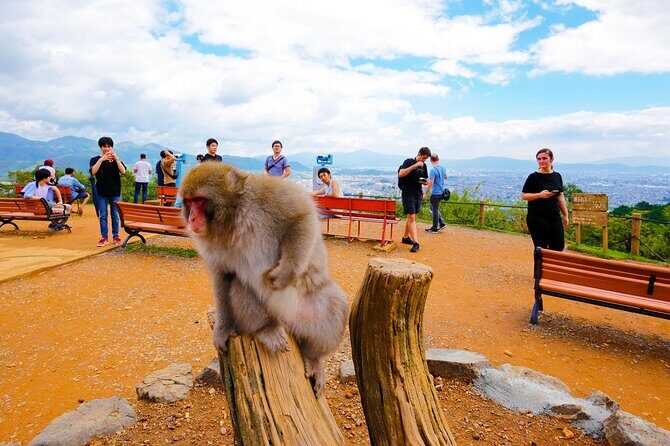 Kyoto: Arashiyama Walking Tour  UNESCO World Heritage - What Makes This Tour Stand Out?