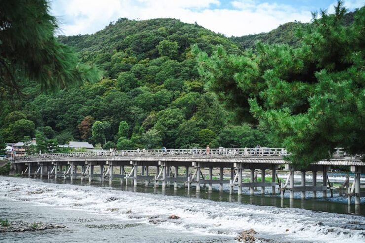 Kyoto: Arashiyama Walking Tour With Local Guide - Good To Know