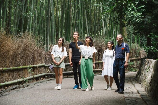Kyoto: Arashiyama Walking Tour With Local Guide - Meeting Point and Logistics