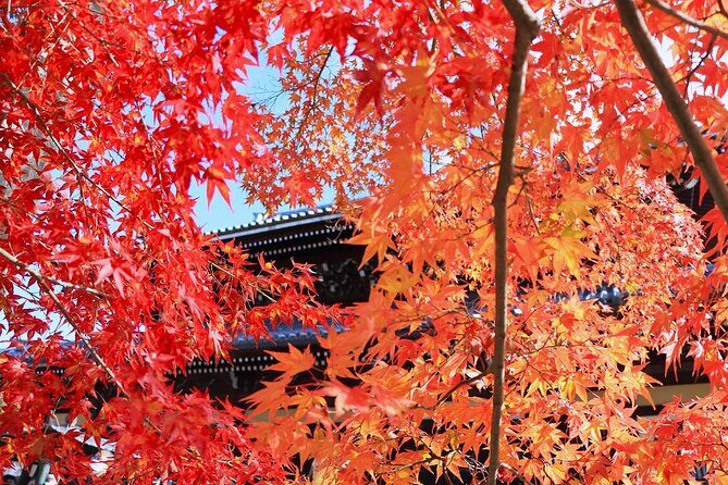 Kyoto Autumn Foliage Private Car Tour Temples and Gardens - Exploring Kyoto’s Autumn Foliage: What to Expect