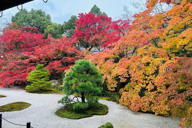 Kyoto Autumn Foliage Private Car Tour Temples and Gardens - The Practicalities: Price, Duration, and Additional Costs