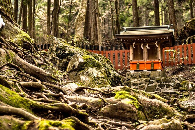 Kyoto: Bask in the Sacred Nature and Rich History in Kifune - Final Stop and Practical Details