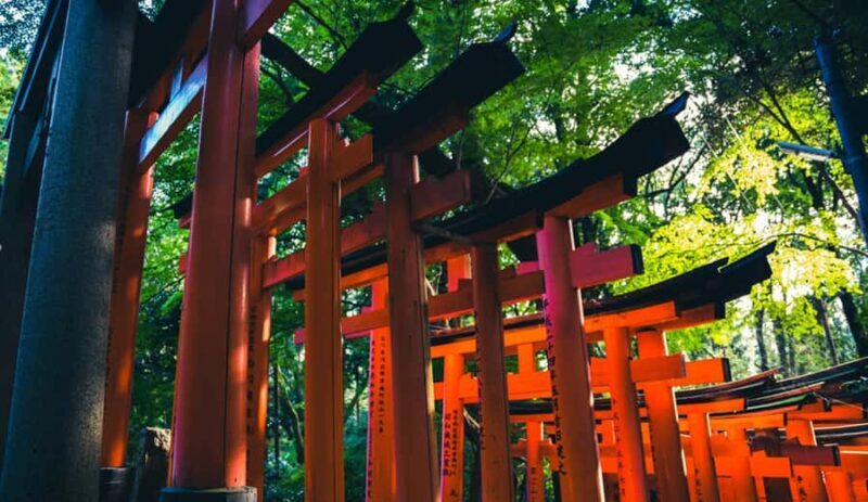 Kyoto: Beat the Crowds "Big 2" Tour (Inari & Arashiyama) - Good To Know